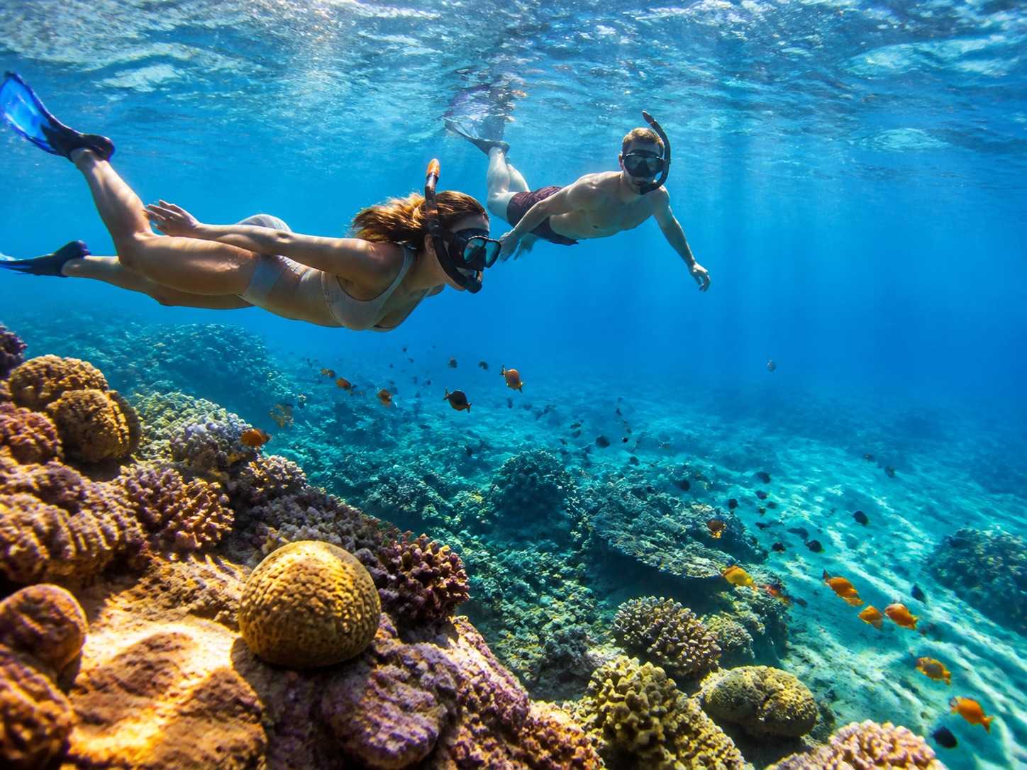 Snorkelling in clear tropical water
